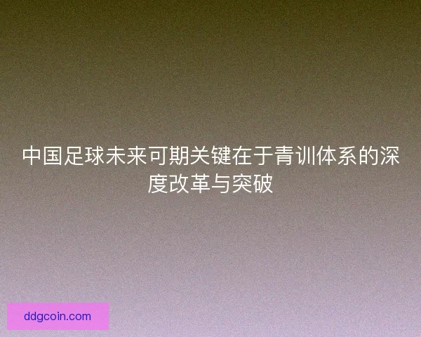 中国足球未来可期关键在于青训体系的深度改革与突破