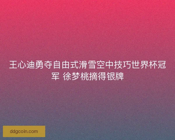 王心迪勇夺自由式滑雪空中技巧世界杯冠军 徐梦桃摘得银牌